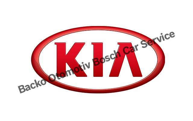 İzmir Kia Servisi