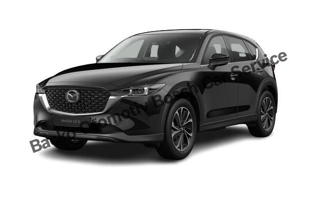 İzmir Mazda Servisi